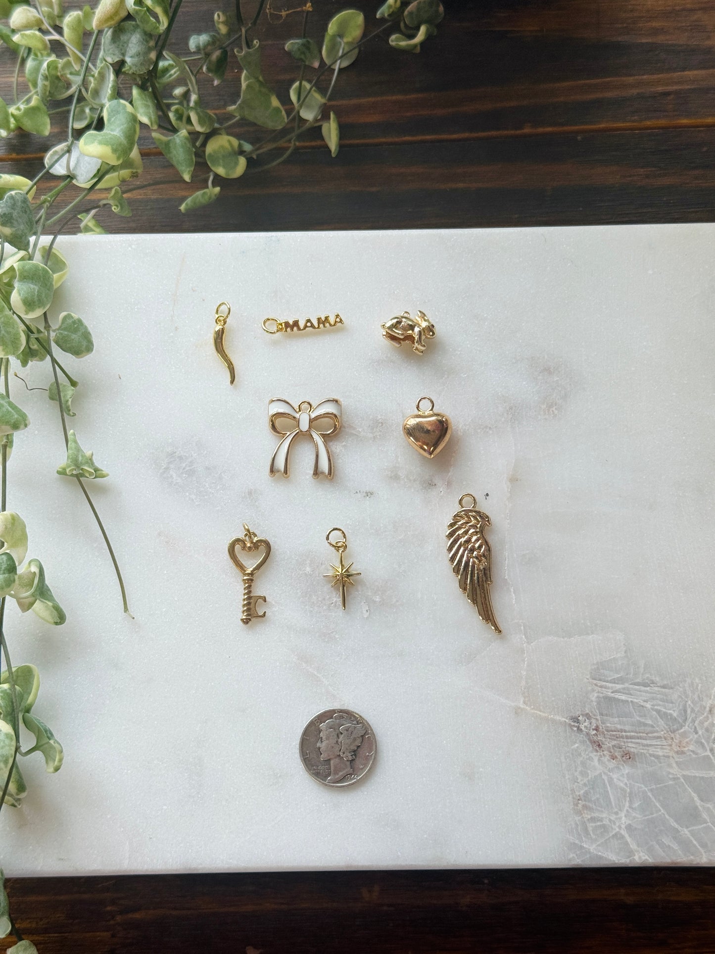 $5 Charms