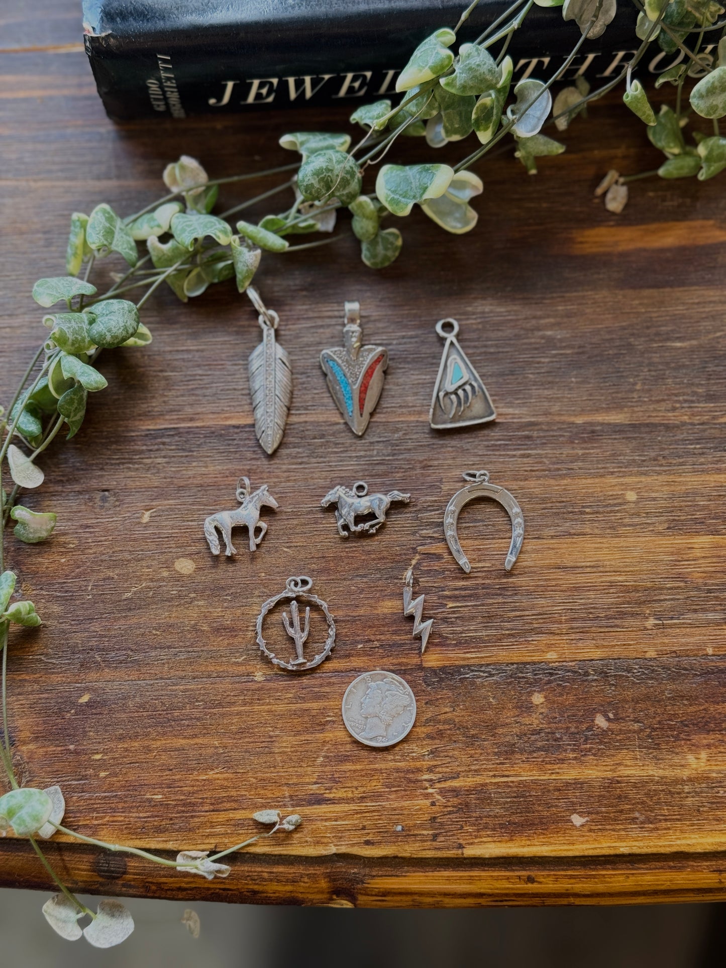 Vintage Western Charms