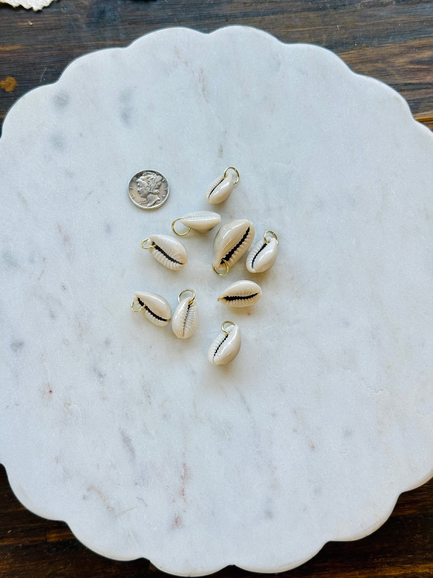 Shell Charms.