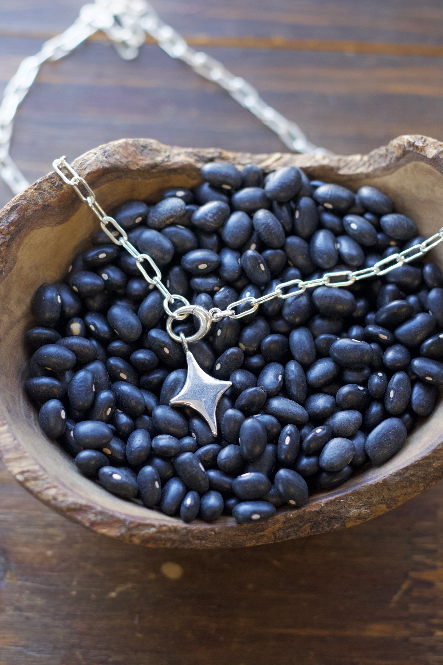 North Star Necklaces