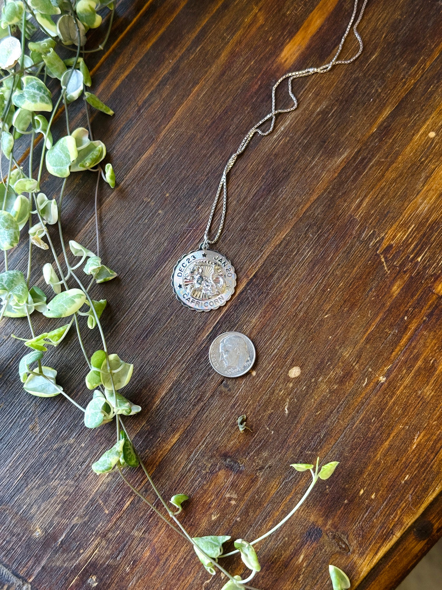 Vintage Capricorn Zodiac Necklace