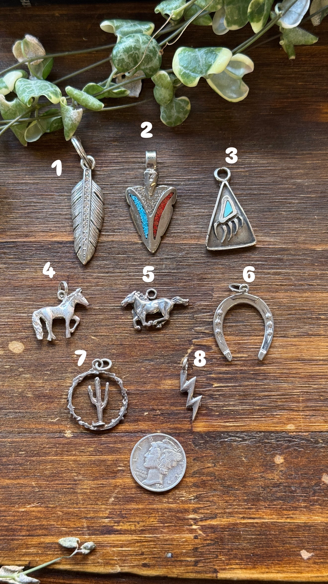 Vintage Western Charms