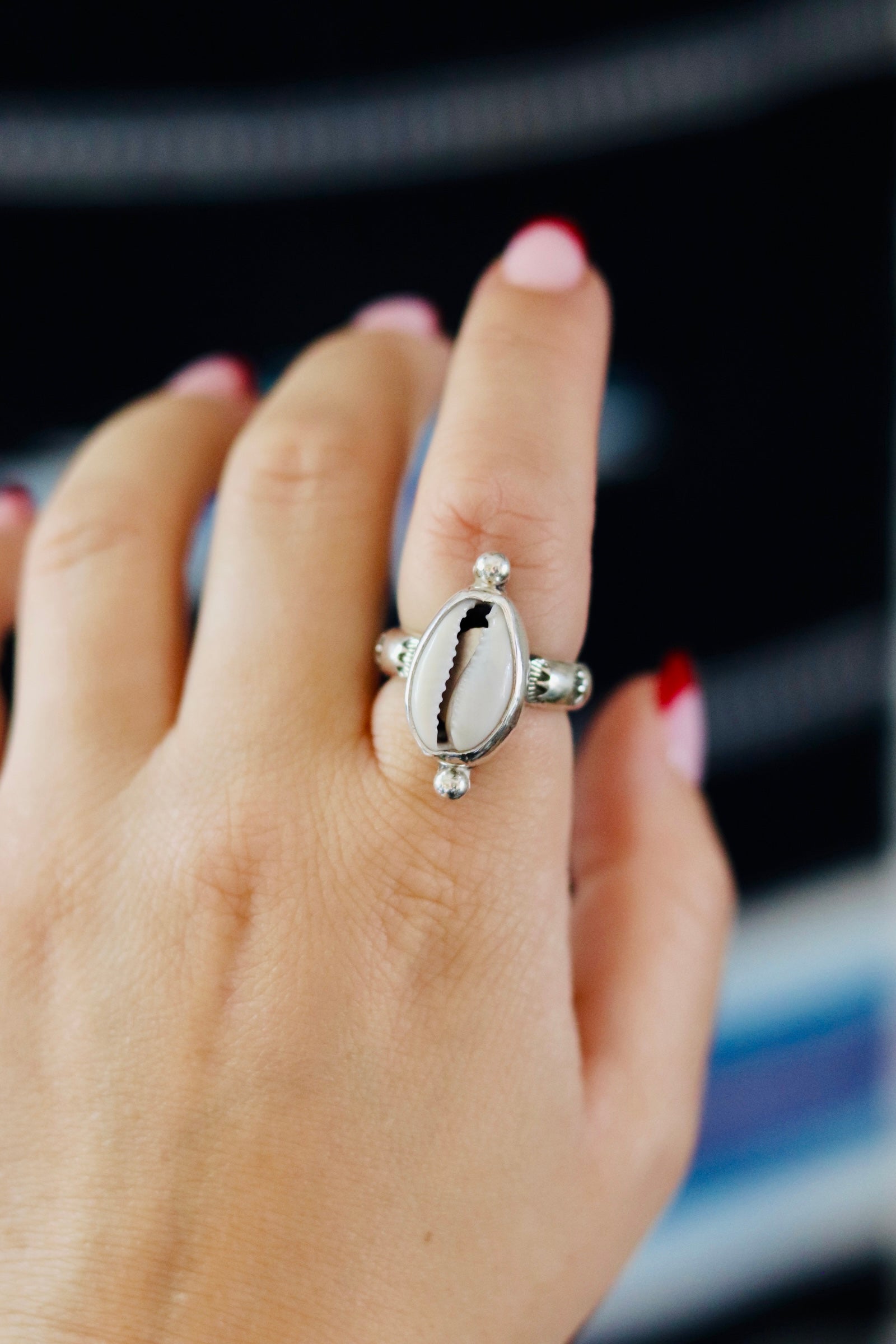 Cowrie sun rings