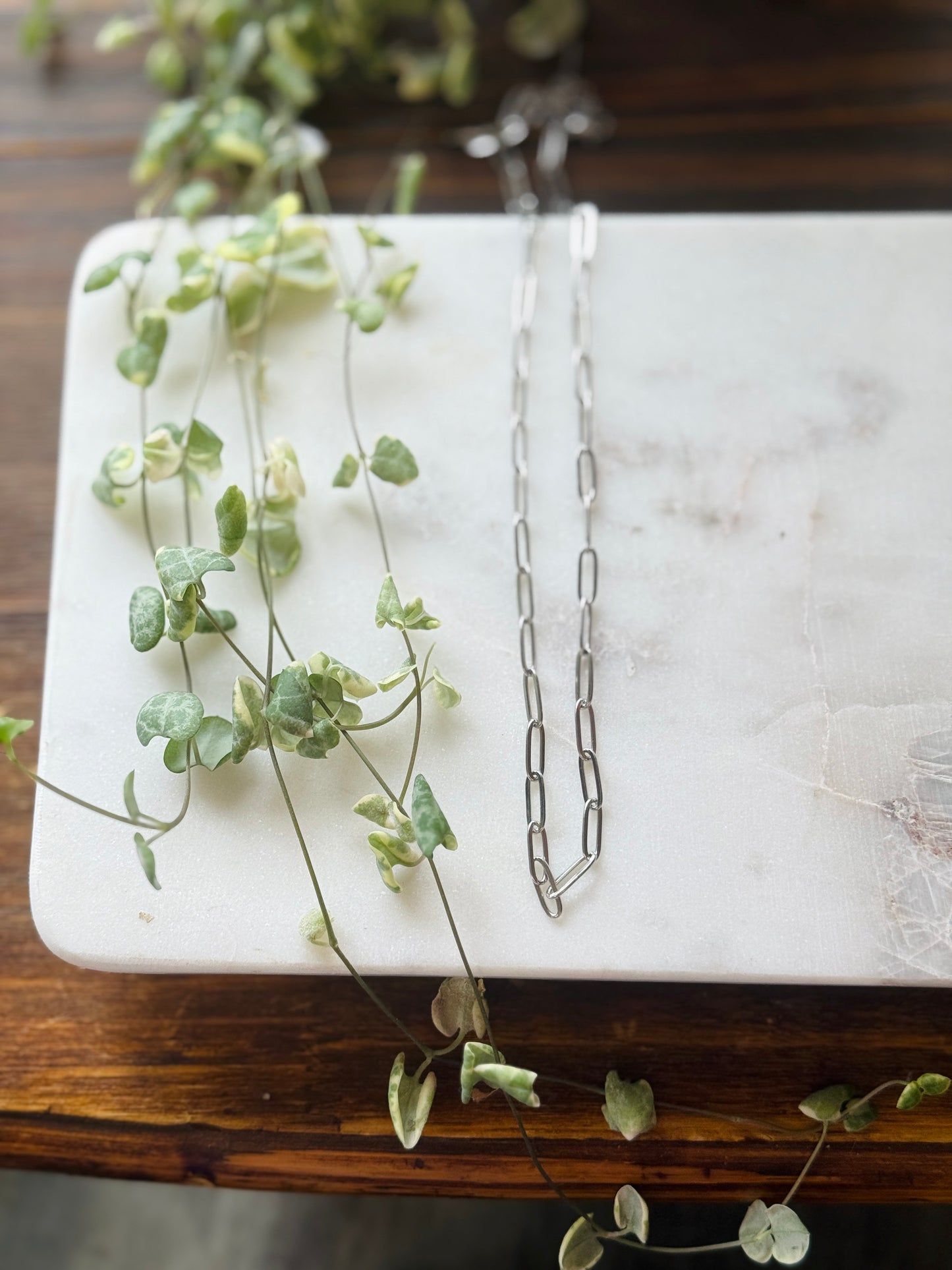 Paper Clip Chains