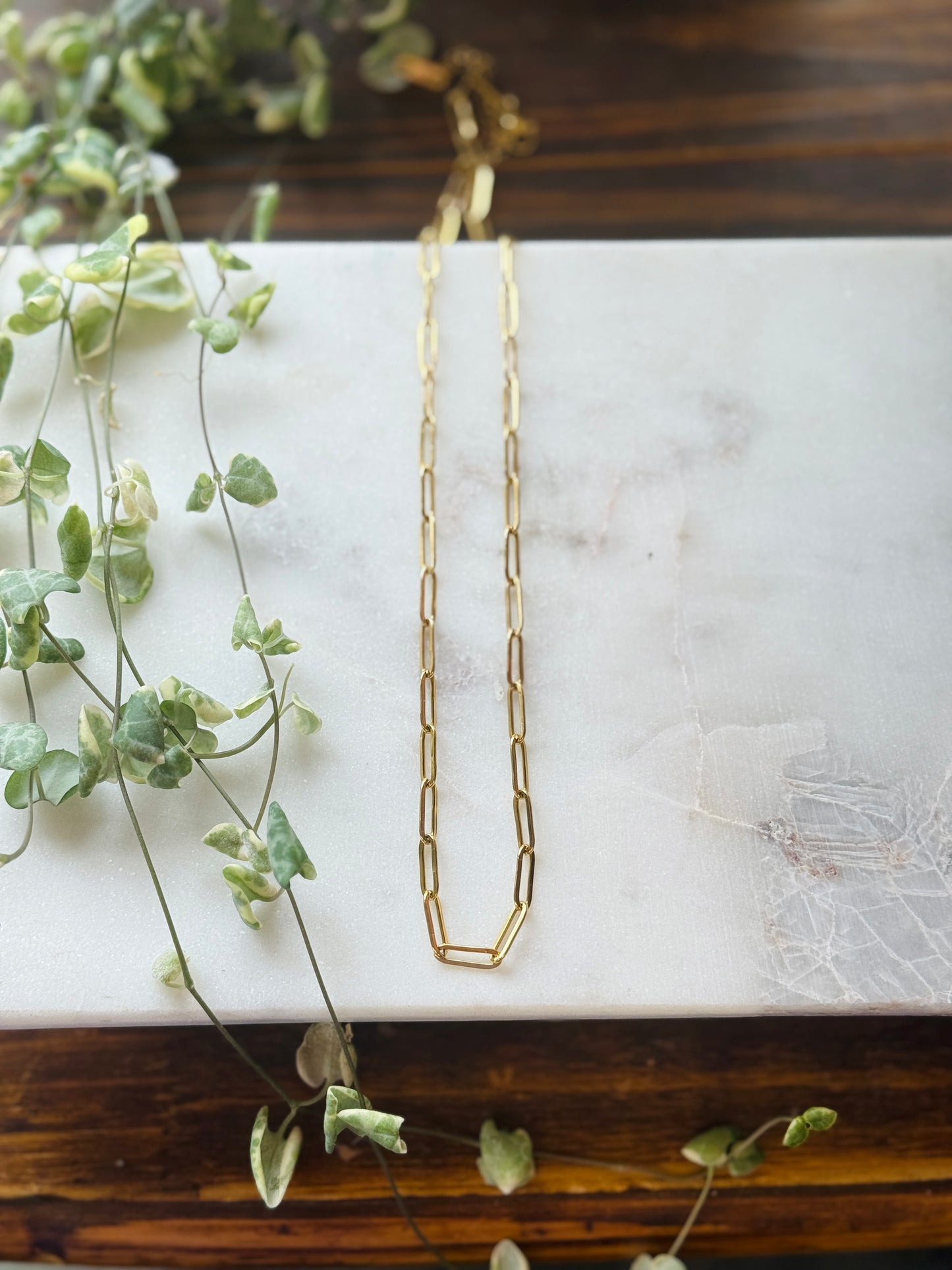 Paper Clip Chains