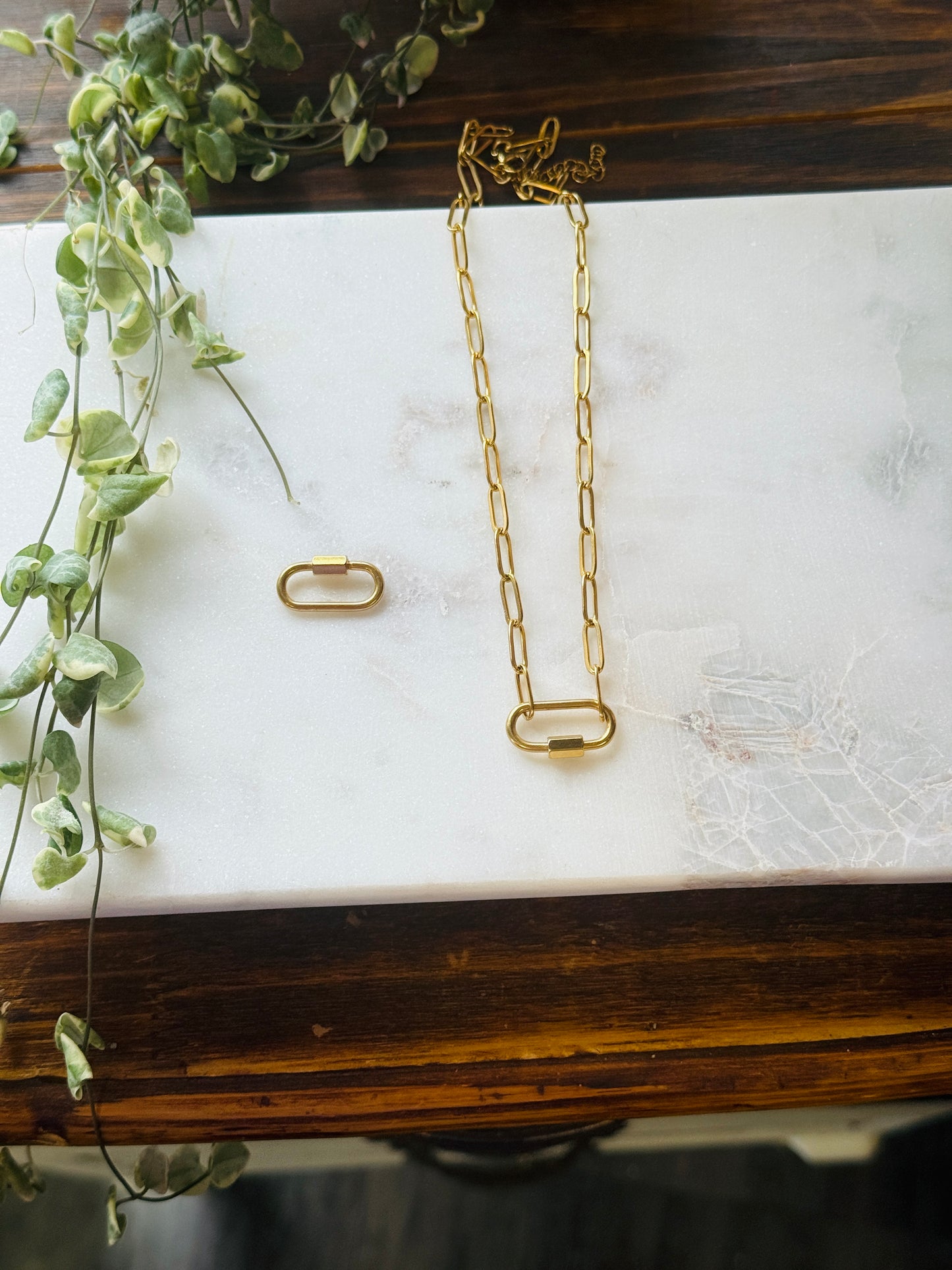 Carabiner Charm Holder or Necklace