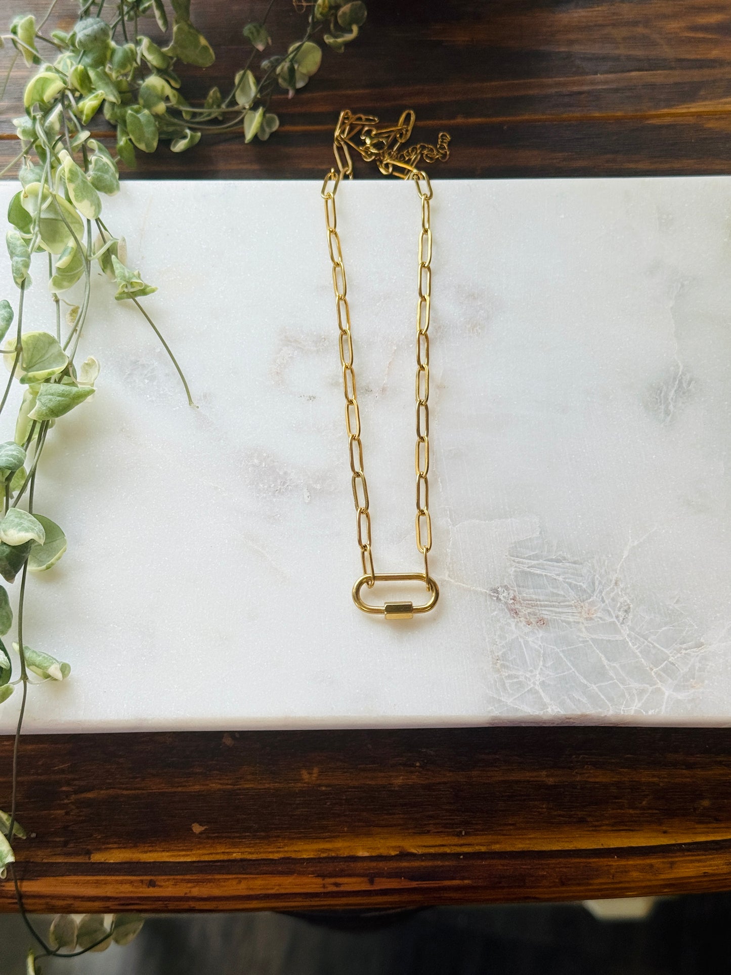 Carabiner Charm Holder or Necklace