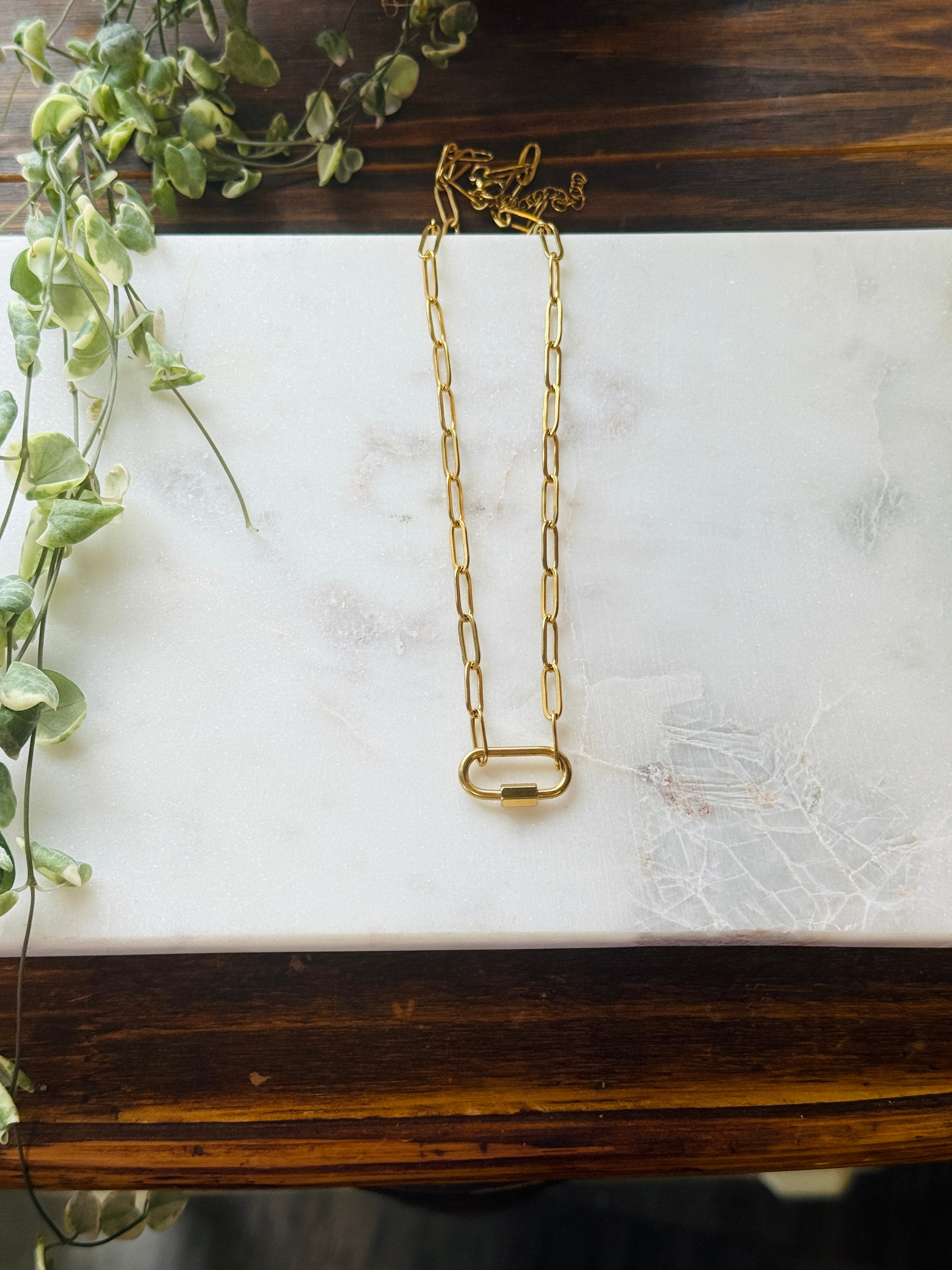 Carabiner Charm Holder or Necklace