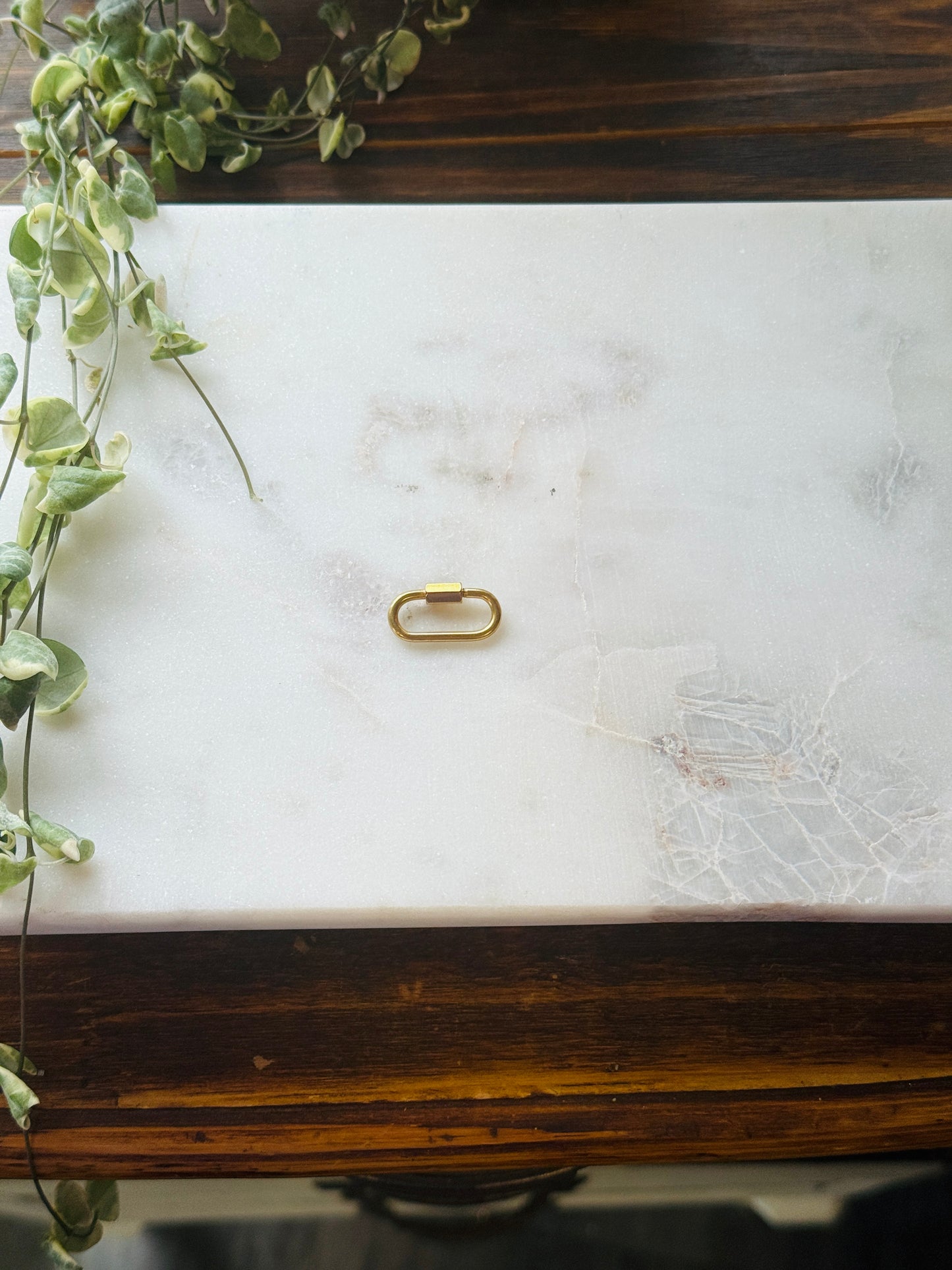 Carabiner Charm Holder or Necklace