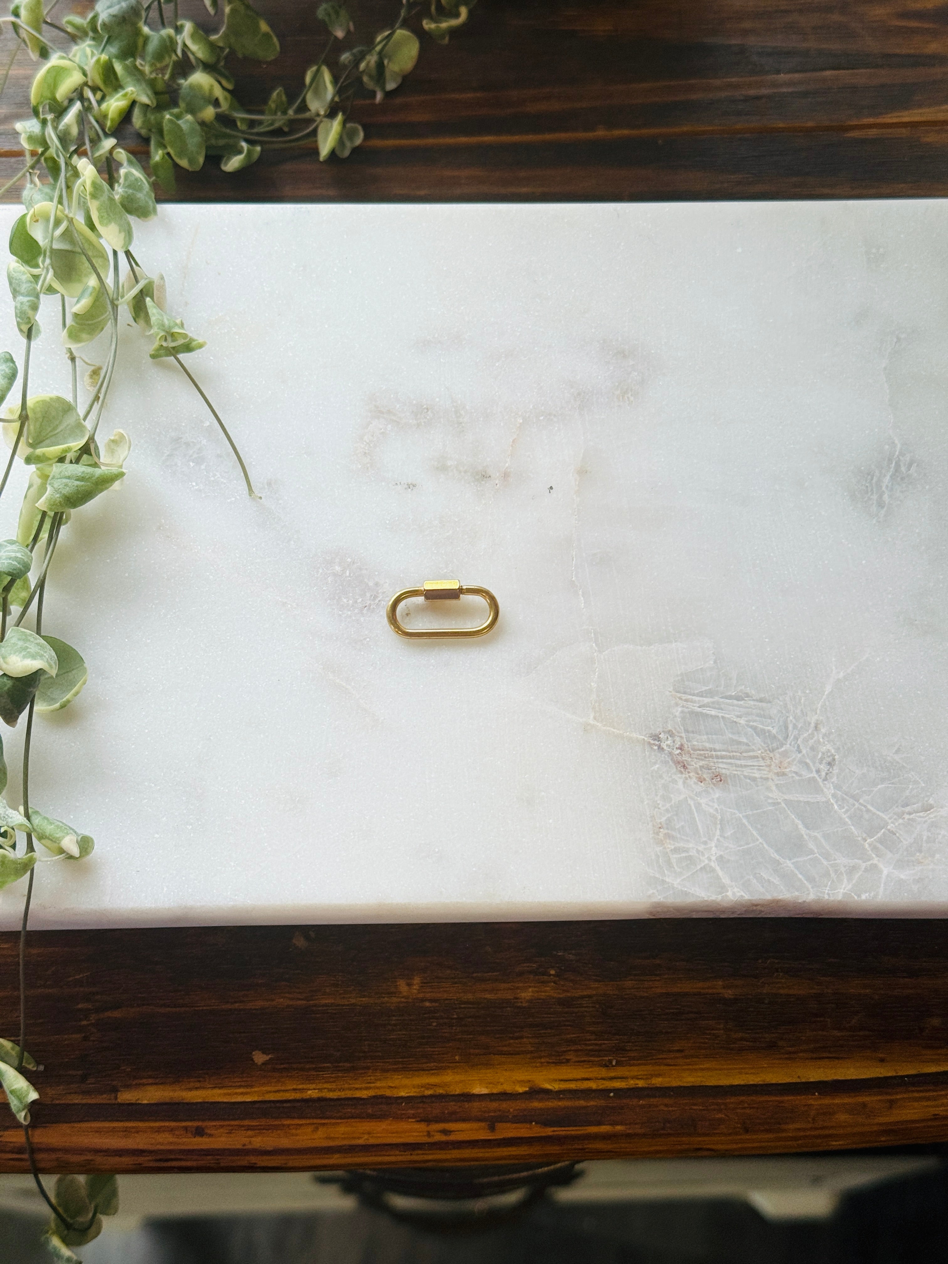 Carabiner Charm Holder or Necklace