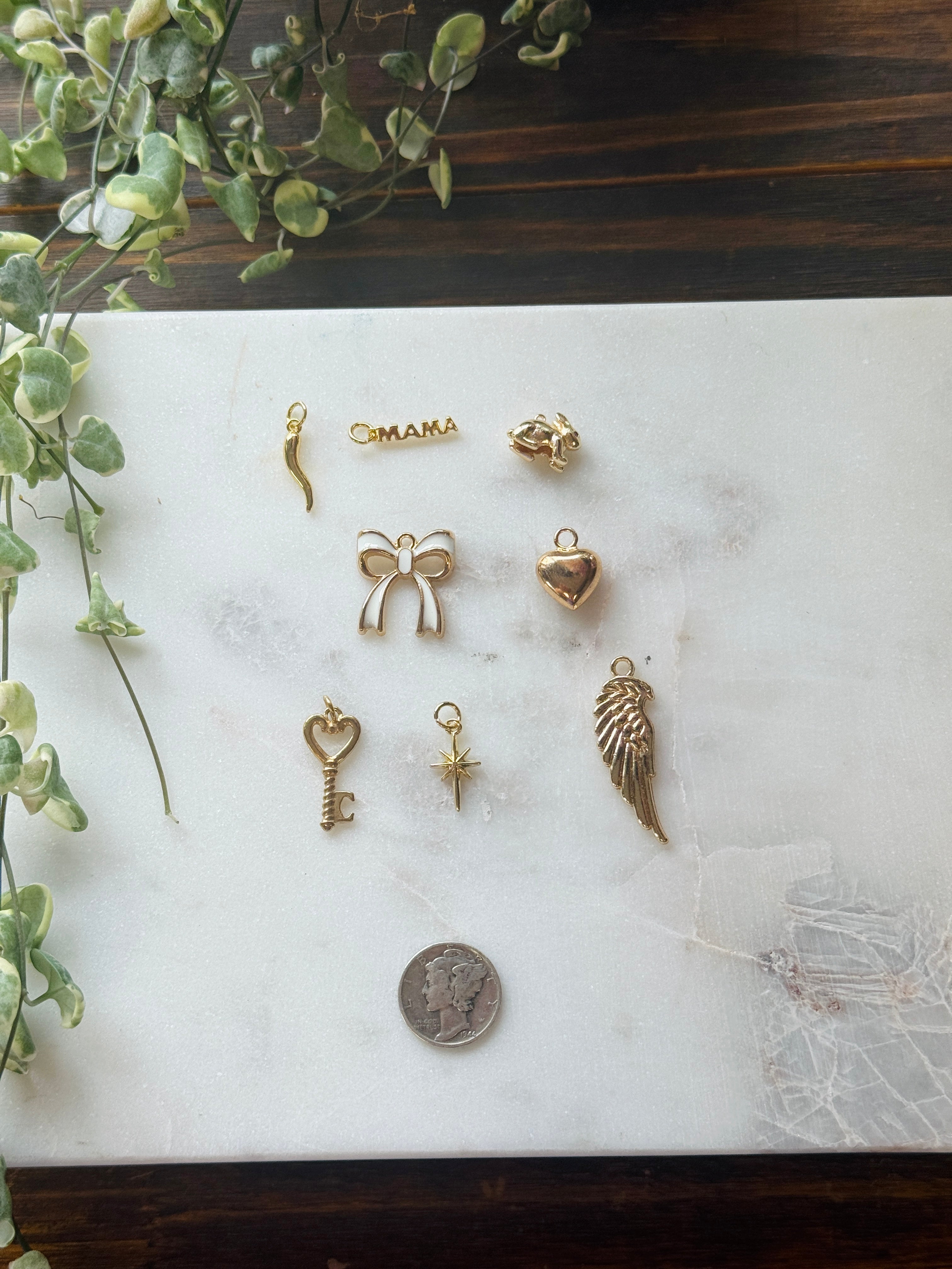 $5 Charms