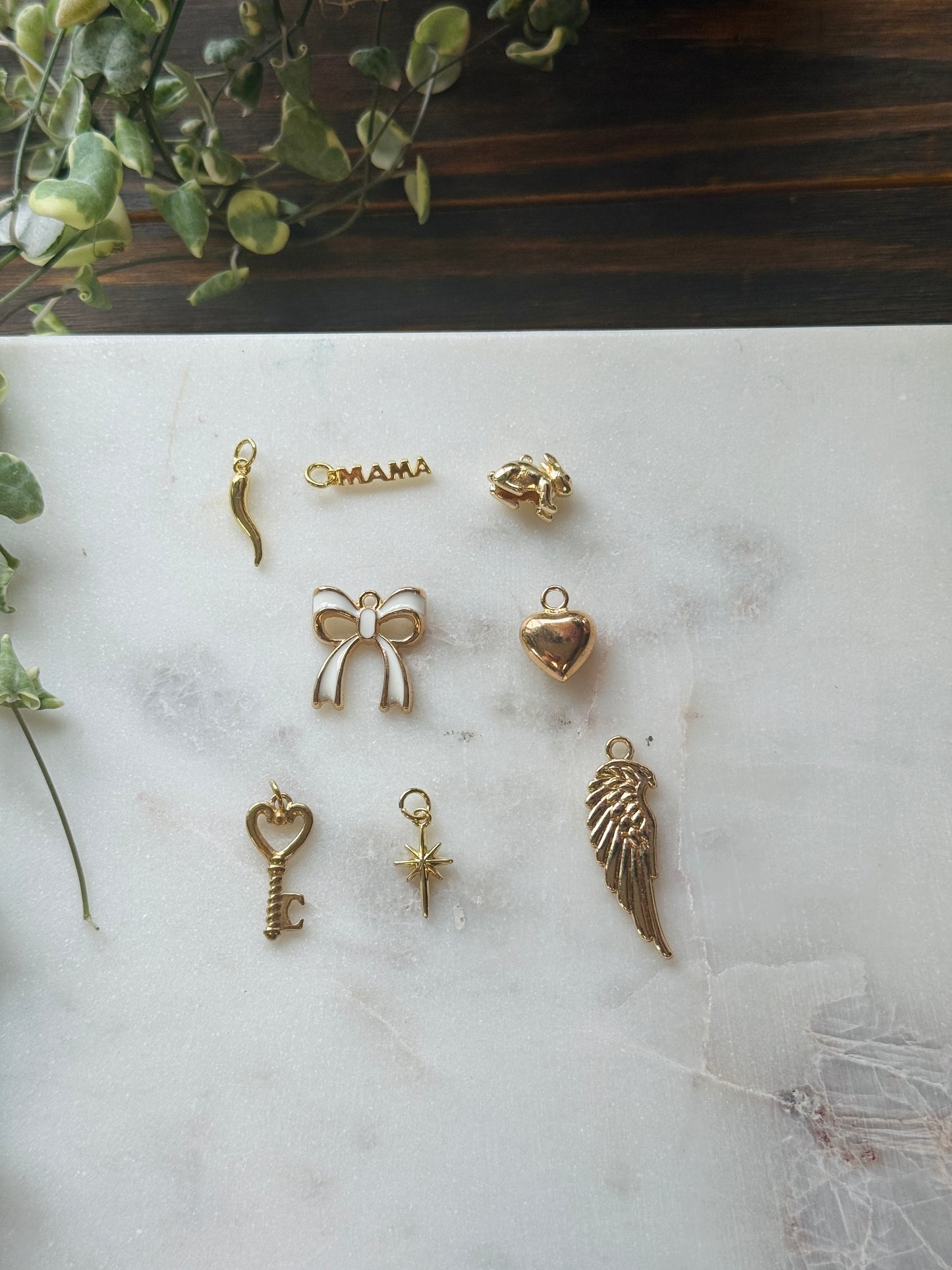 $5 Charms