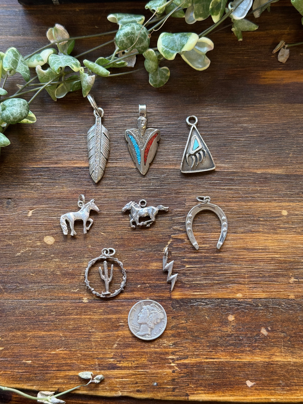 Vintage Western Charms
