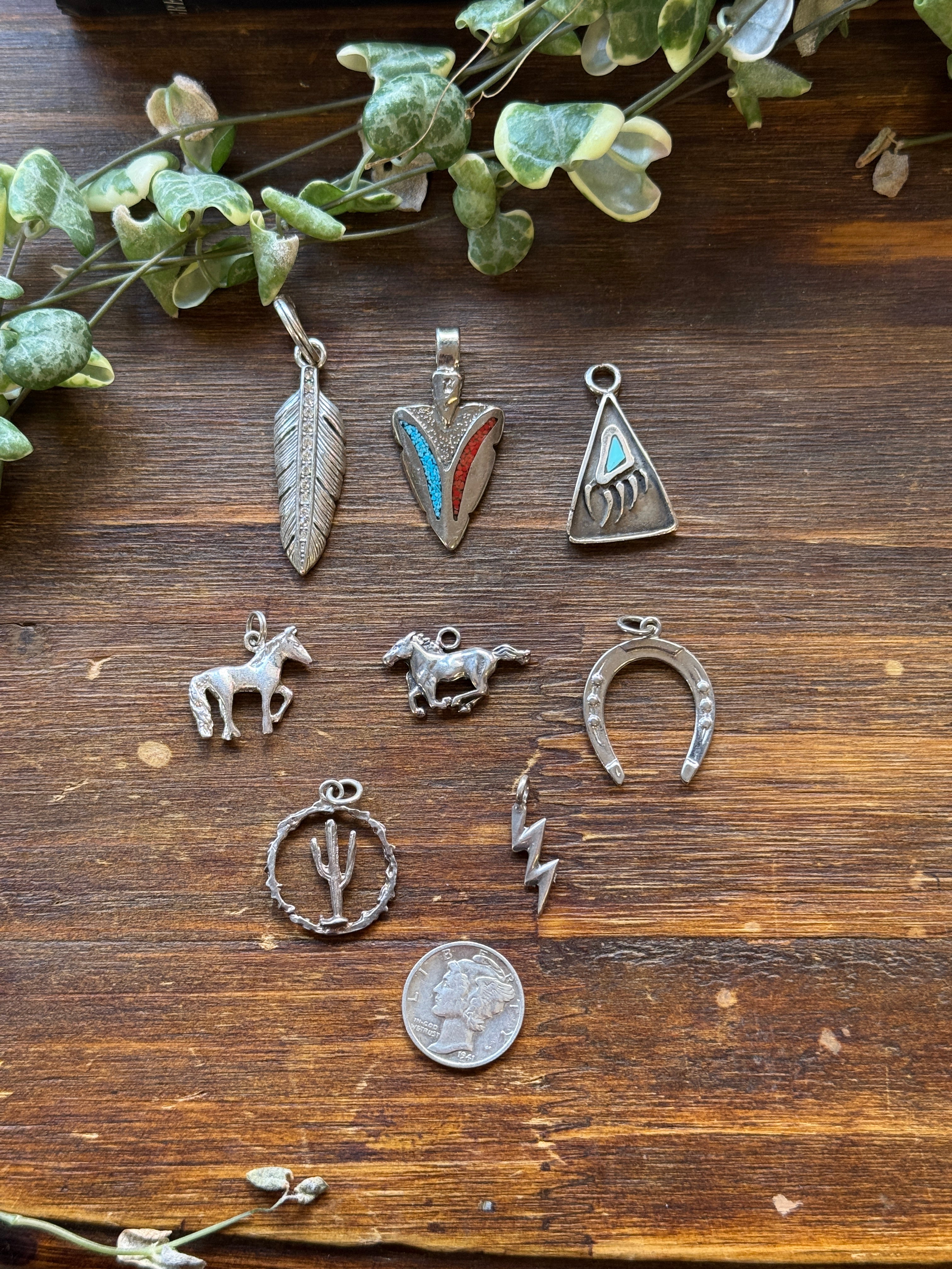 Vintage Western Charms