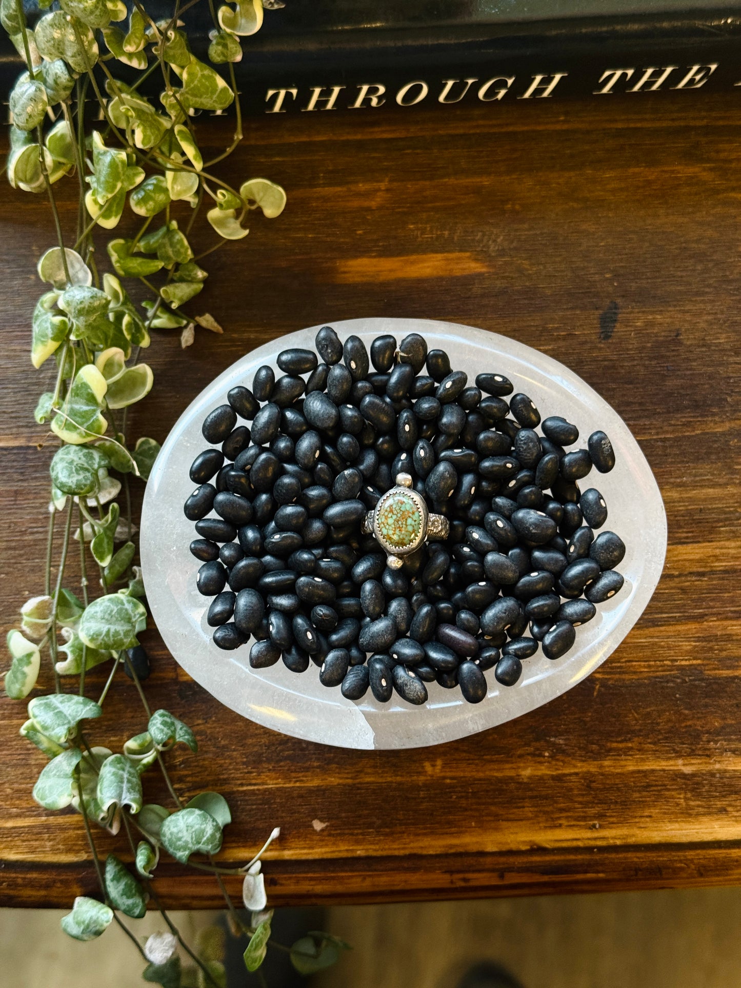 Evans Turquoise Size 7