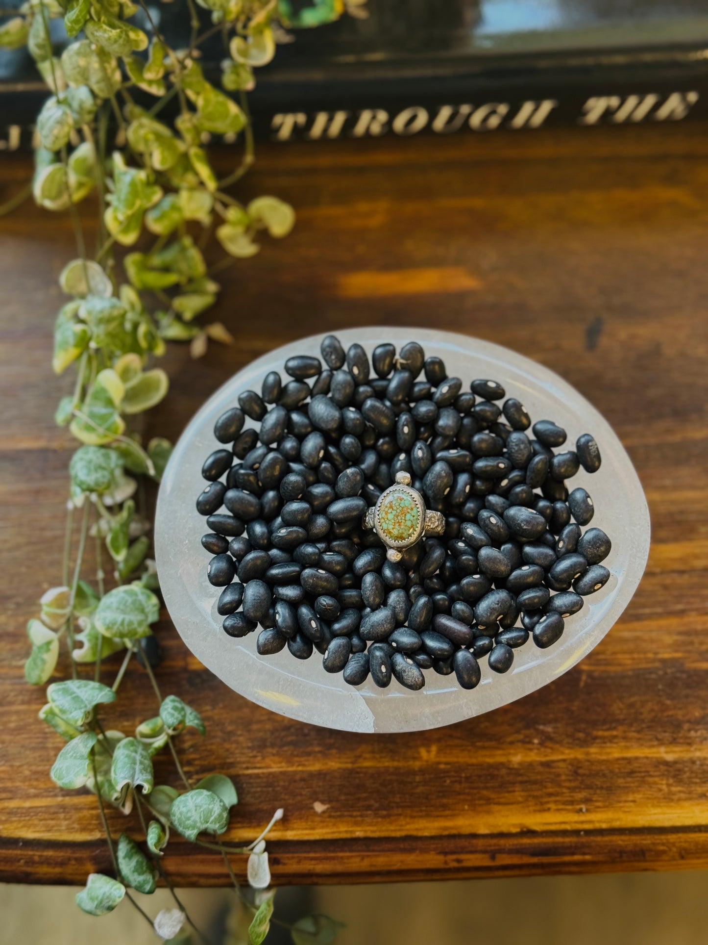 Evans Turquoise Size 7