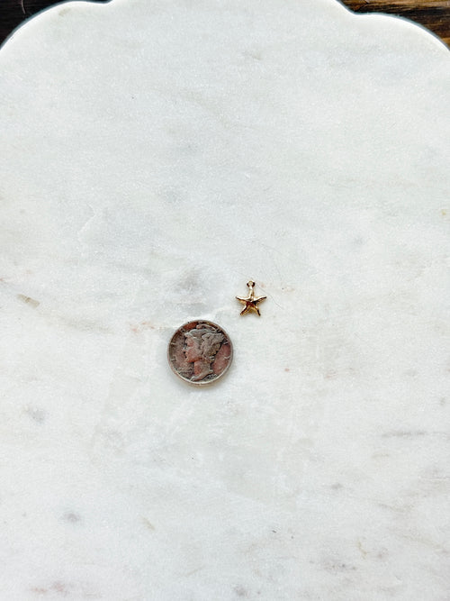 $2 Charms