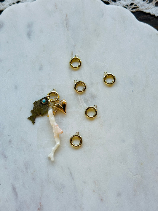 Gold Carabiner Push Clasp Charm Holder