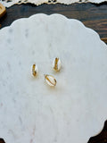 Shell Charms.